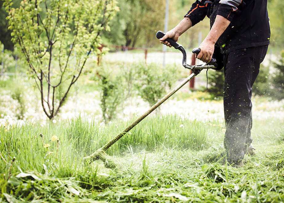 Kehrschel Gebäudedienste Hausmeisterservice Reinigungsservice Unterhaltsreinigung Winterdienst Hausmeister Gebäudereinigung Gartenpflege Landschaftspflege Frankfurt am Main